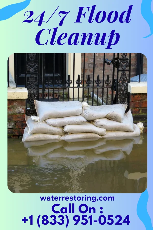 24/7 Flood Cleanup in Rock Rapids, IA